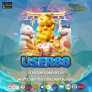 USER88